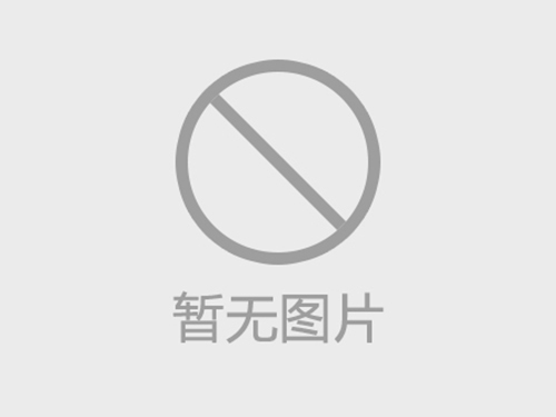 湖畔同心520｜艾仲医燃情团建：八段锦唤醒元气，游戏烧烤解锁“家”的温度！